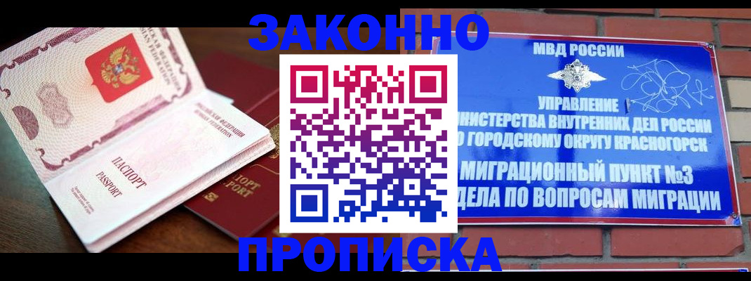 прописка для школы в Светлогорске